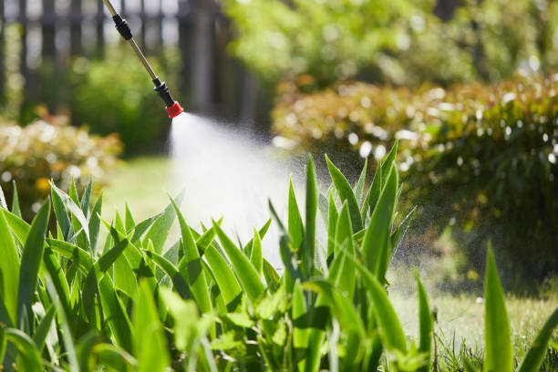 24/7 Emergency Mosquito Control experts in Loop, PA